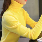 Maglia in cotone da donna | La Parigina